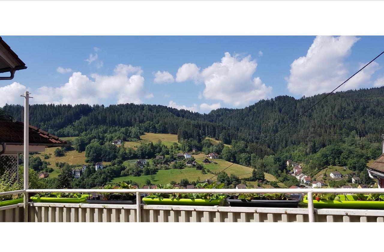 Talstadtblick Schramberg Exterior photo